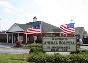 animal hospital cartersville ga|veterinarians cartersville ga.